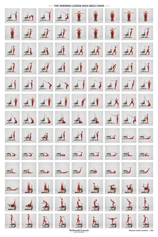 Chair Exercise Poster  24" x 36"